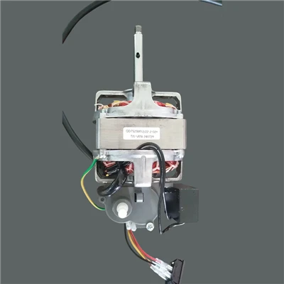 Dual-voltage Fan Motor