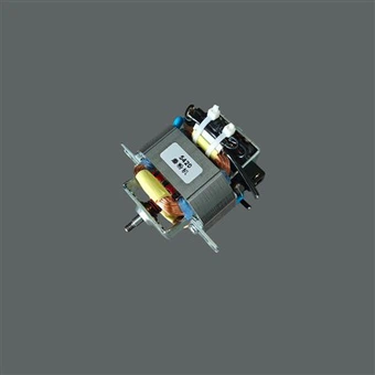 Βιομηχανικός-Μοτέρ λείανσης AC βαθμού