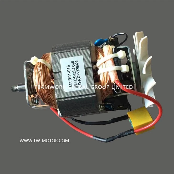 Juicer Motor & Food Processor Motor