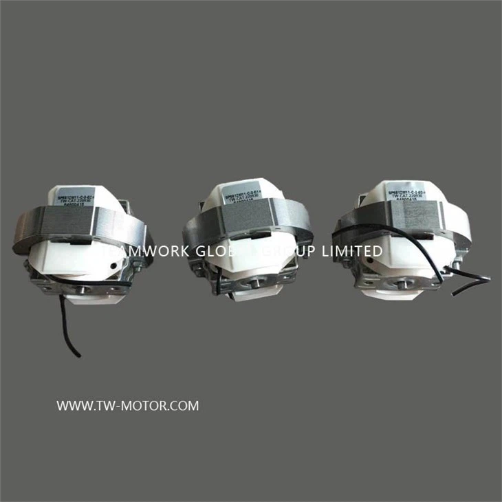 Winter Heating Fan Motor