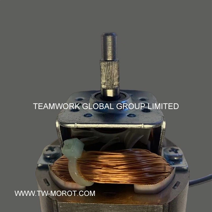 High Efficiency Juicer Motor