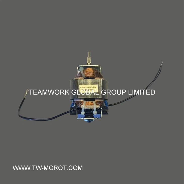 High Efficiency Juicer Motor