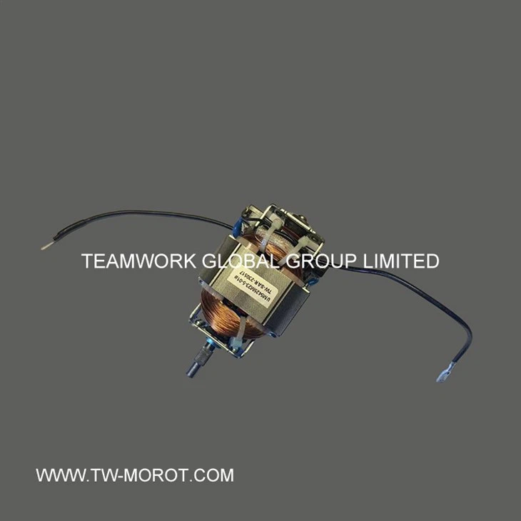 High-Power Hair Dryer Motor