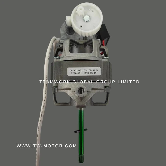 Household Oscillating Fan Motor