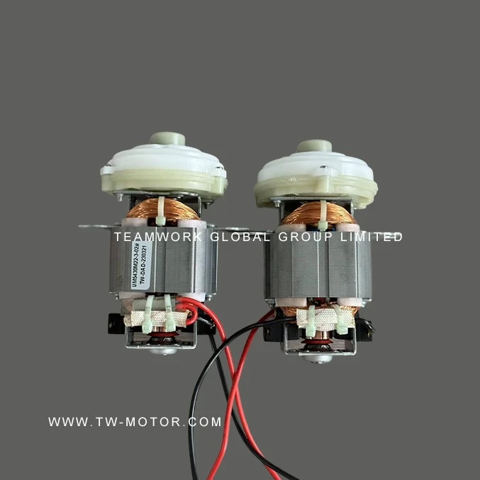Professional Kitchen Grinder Motor