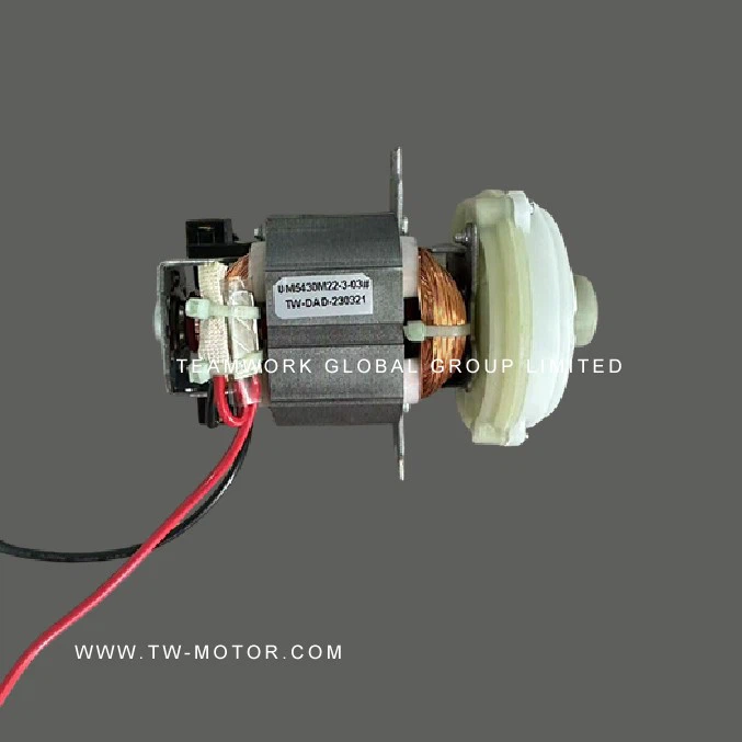 Professional Juicer Motor
