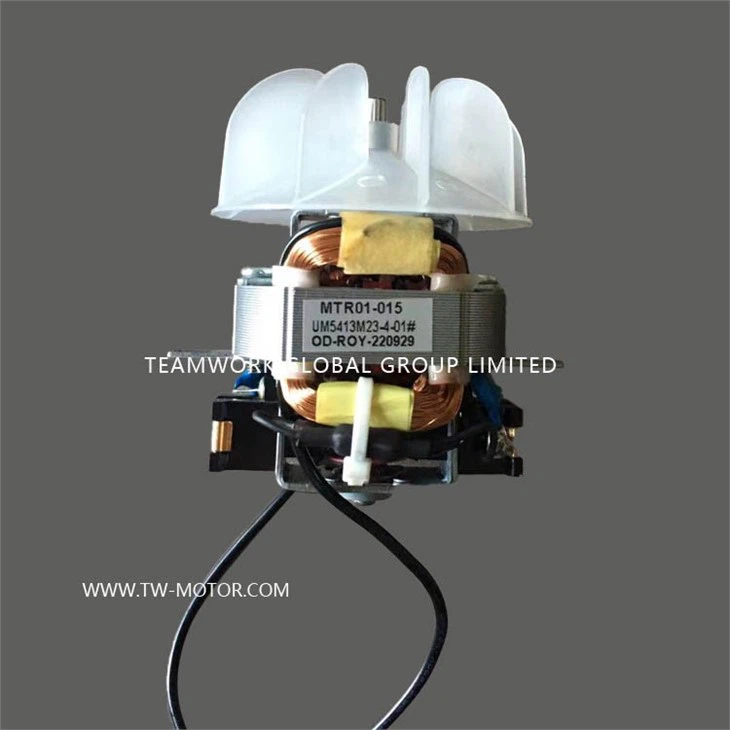 Universal Motor For Hair Dryer
